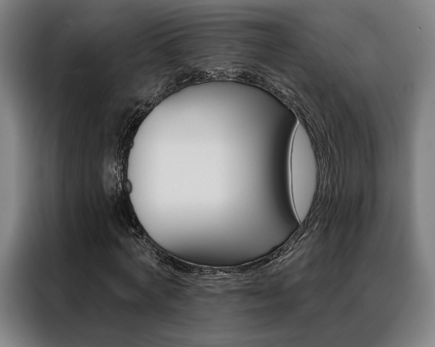 X0000088430772200705220853