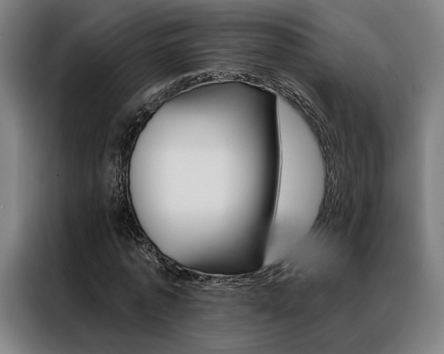 X0000088430773200705220853