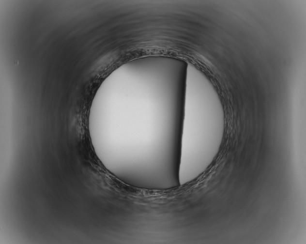 X0000088430774200705220853