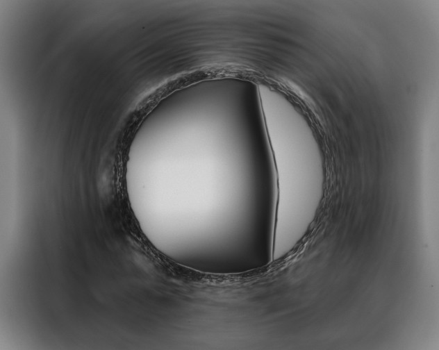 X0000088430775200705220853