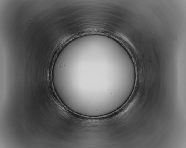 X0000088430777200705220853