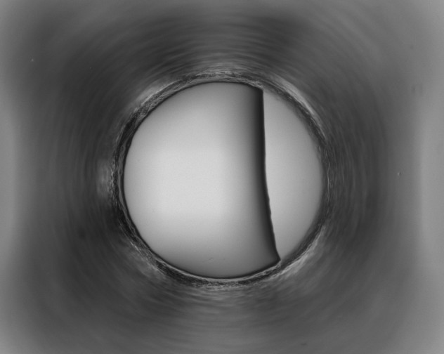 X0000088430778200705220853
