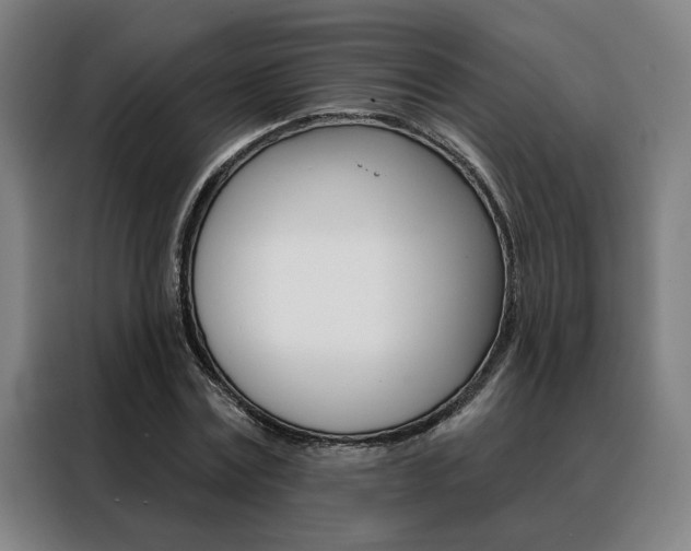 X0000088430779200705220853