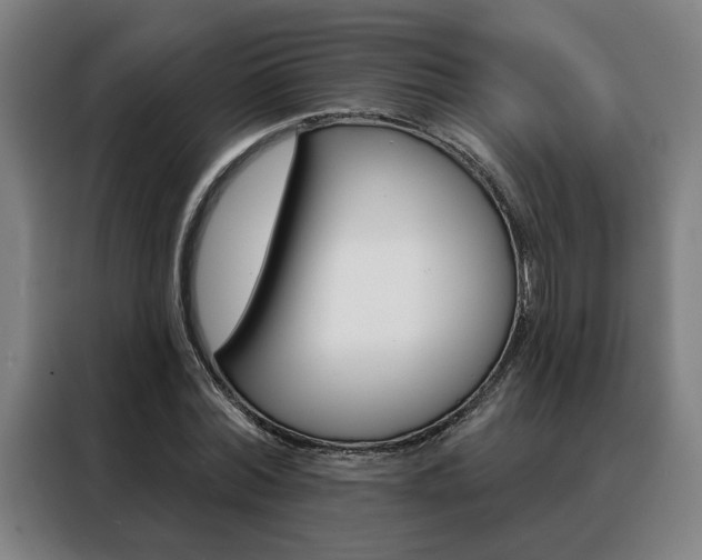 X0000088430780200705220853