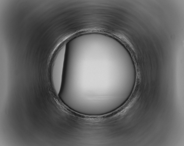 X0000088430781200705220853
