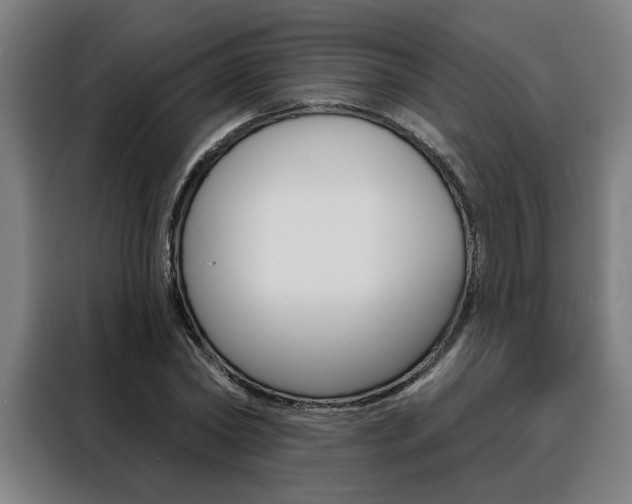 X0000088430782200705220853