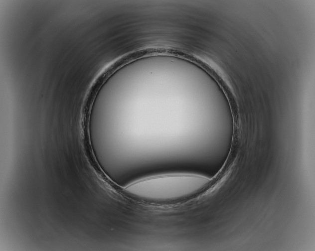 X0000088430783200705220853