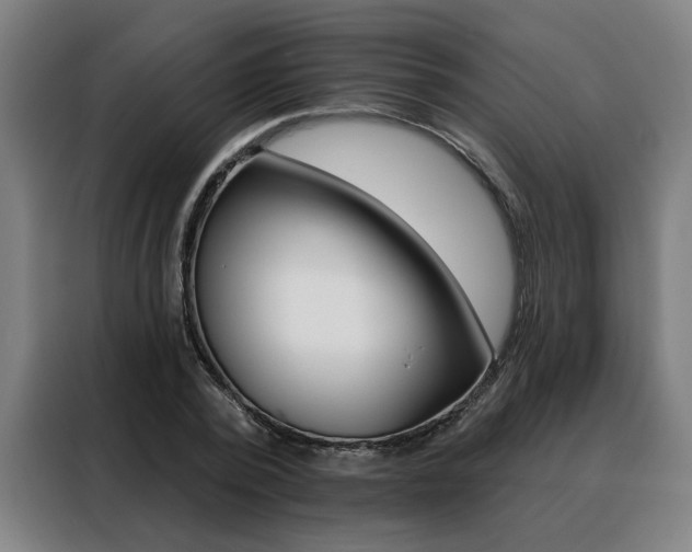 X0000088430784200705220853
