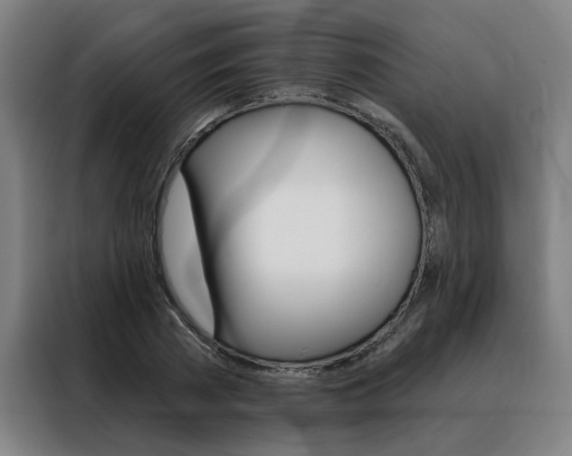 X0000088430785200705220853
