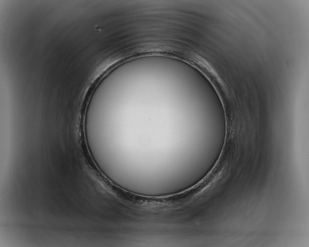 X0000088430786200705220853