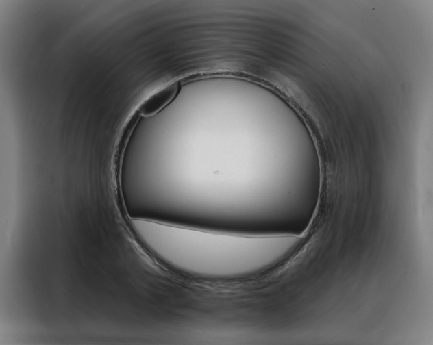 X0000088430789200705220853