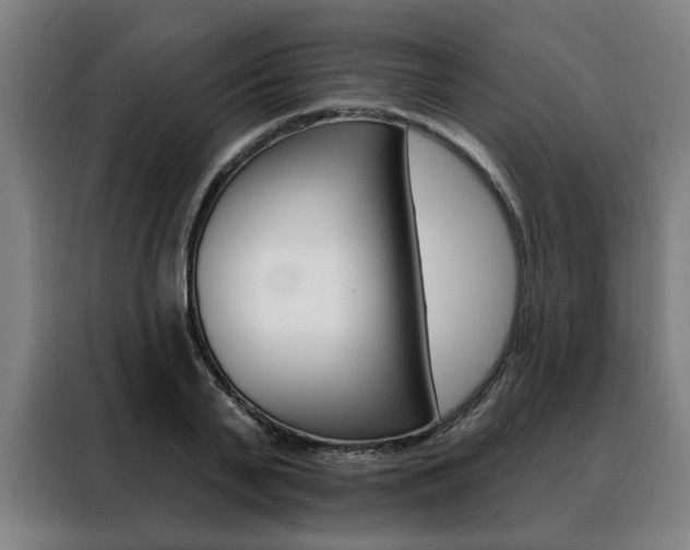 X0000088430791200705220853