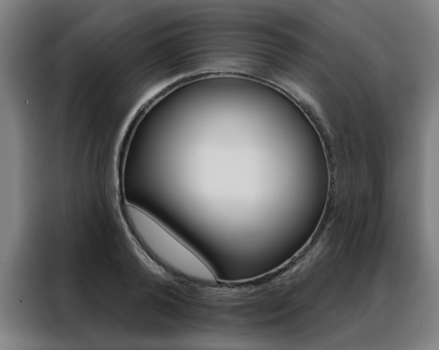 X0000088430792200705220853