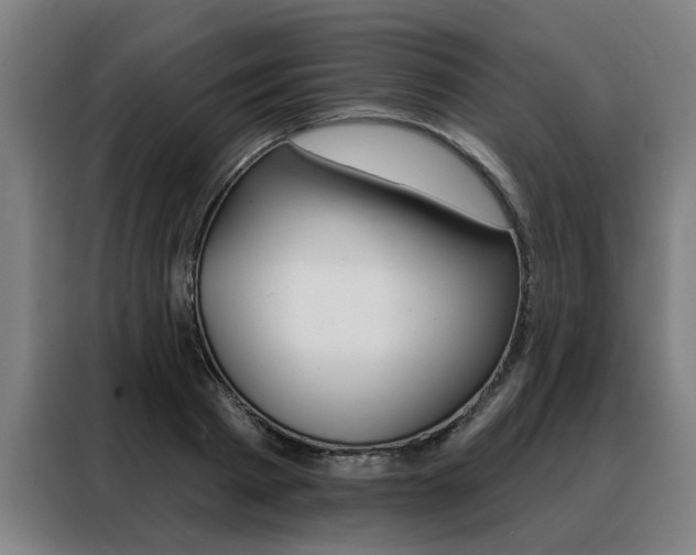 X0000088430793200705220853