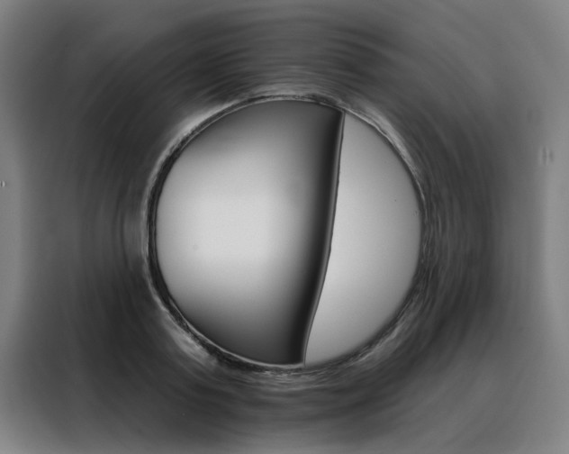 X0000088430795200705220853