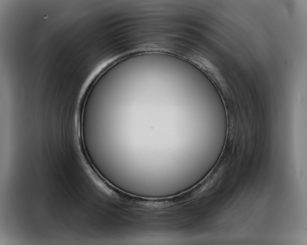 X0000088430796200705220853
