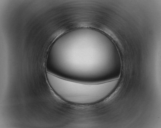 X0000088430801200705220853