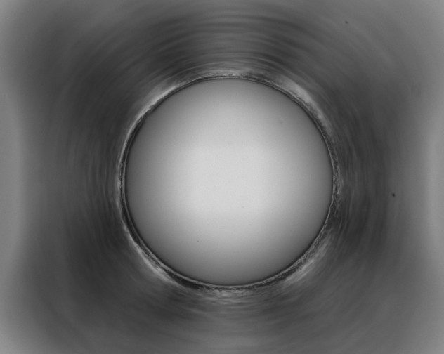 X0000088430802200705220853