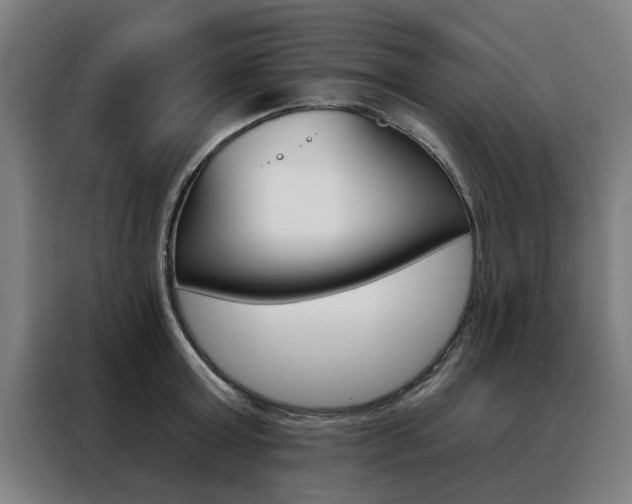 X0000088430803200705220853