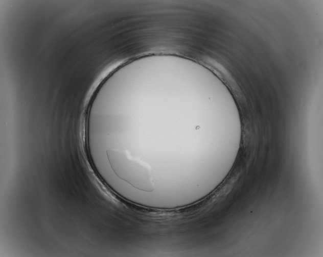 X0000088430804200705220853