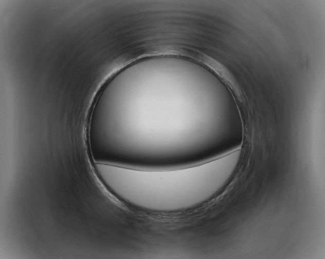 X0000088430805200705220853