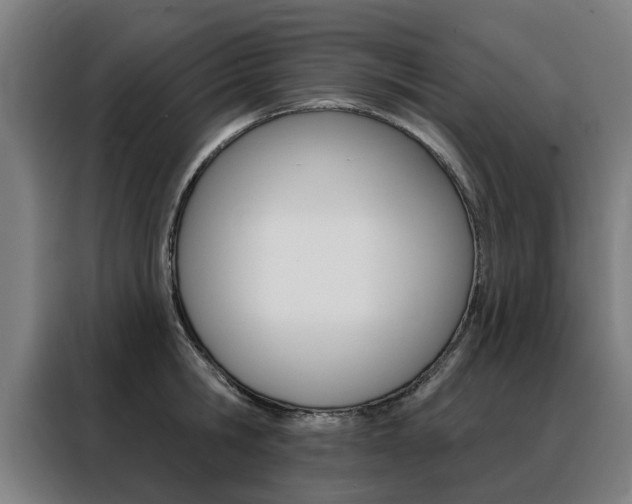 X0000088430806200705220853
