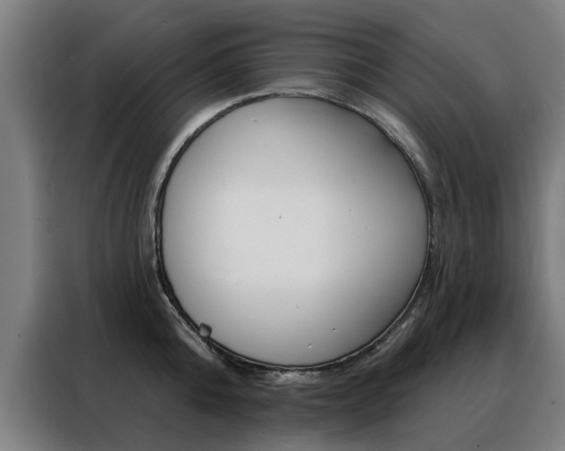 X0000088430808200705220853