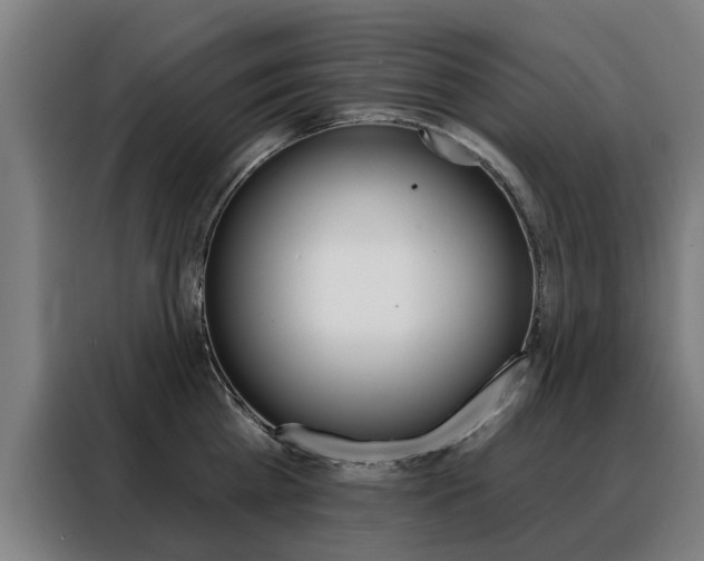 X0000088430809200705220853