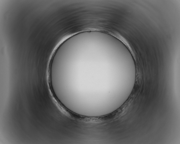 X0000088430811200705220853