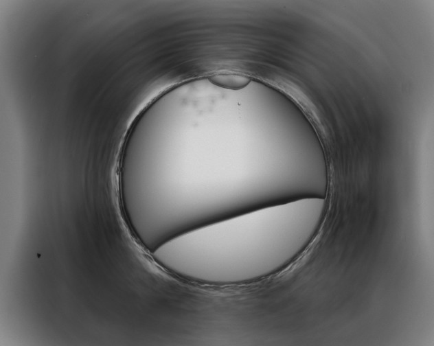X0000088430814200705220853