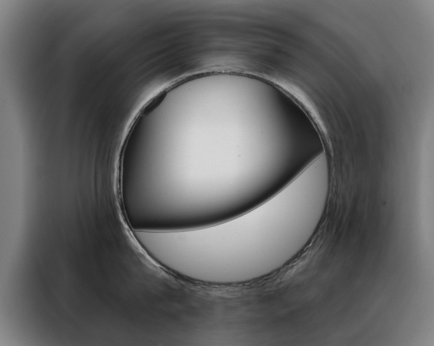 X0000088430815200705220853