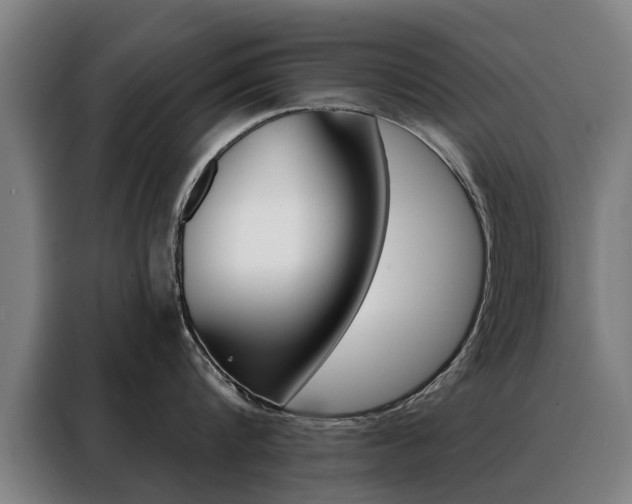 X0000088430816200705220853