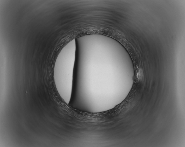 X0000088430819200705220852