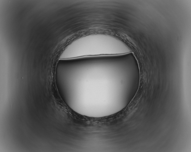 X0000088430821200705220852