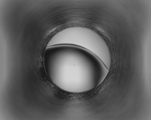X0000088430822200705220852