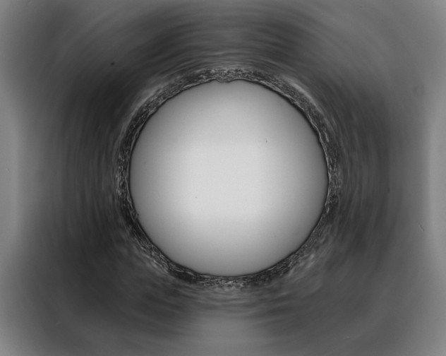 X0000088430823200705220852