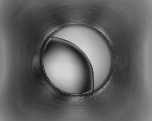 X0000088430826200705220852