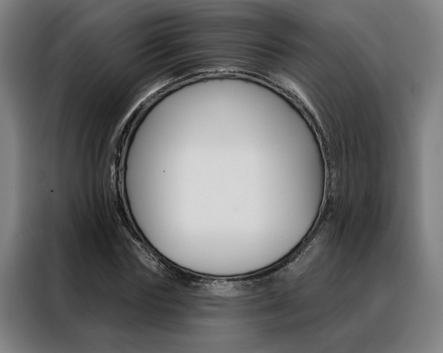 X0000088430827200705220852