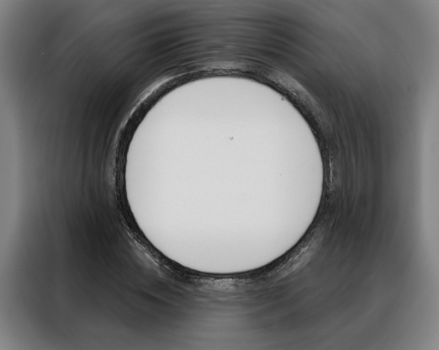 X0000088430828200705220852