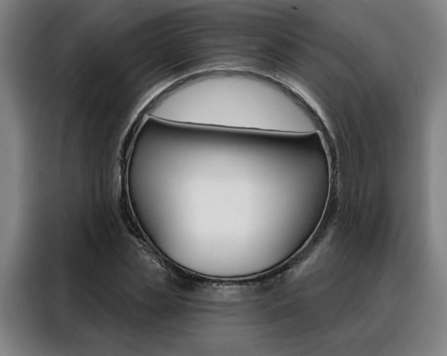 X0000088430829200705220852