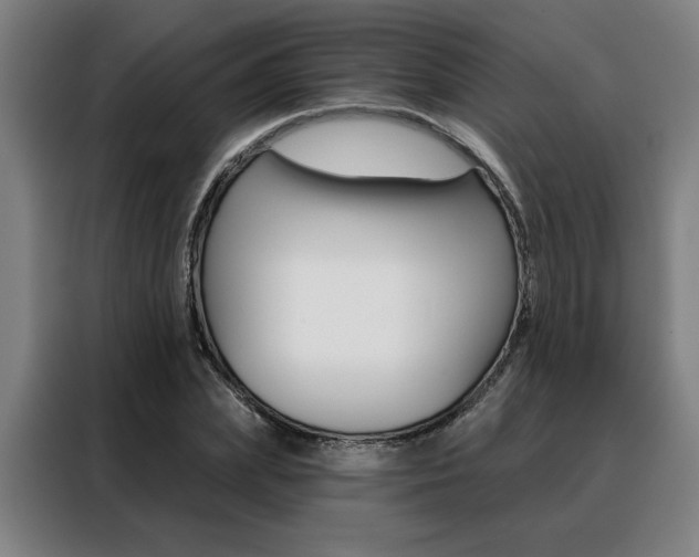 X0000088430831200705220852