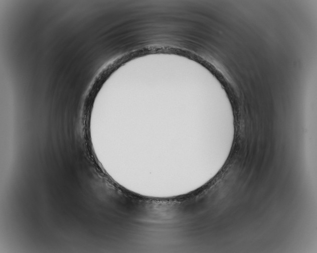 X0000088430832200705220852