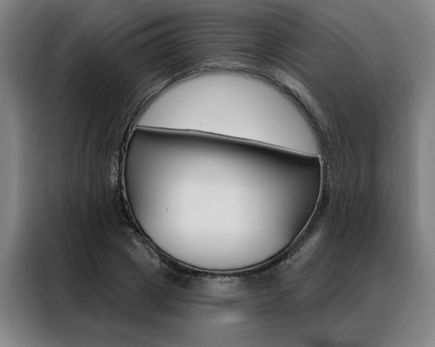 X0000088430833200705220852