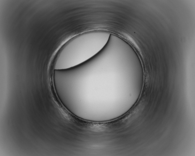 X0000088430835200705220852