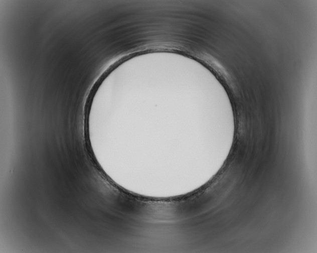 X0000088430836200705220852