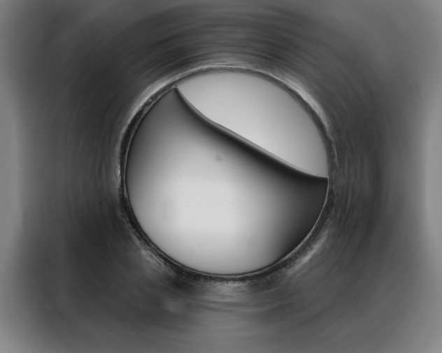 X0000088430837200705220852