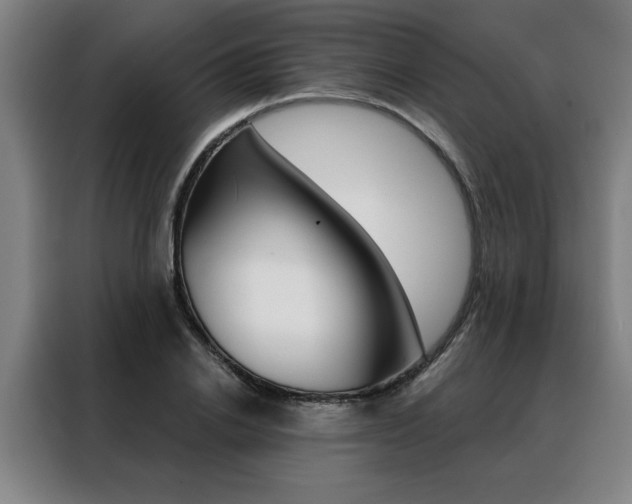 X0000088430838200705220852