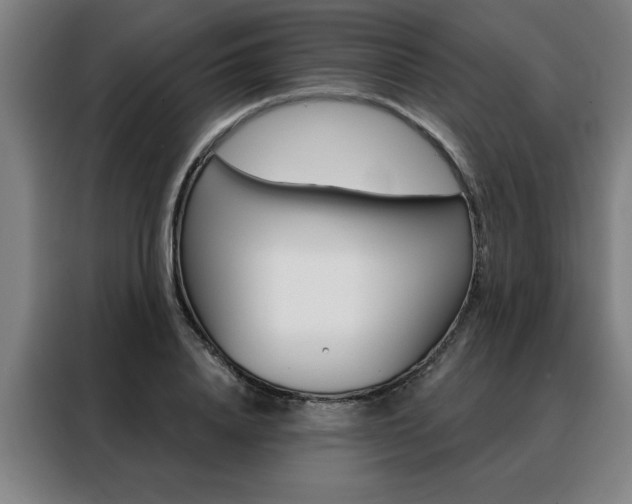 X0000088430840200705220852
