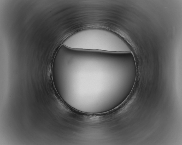 X0000088430841200705220852