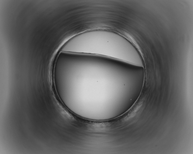 X0000088430843200705220852